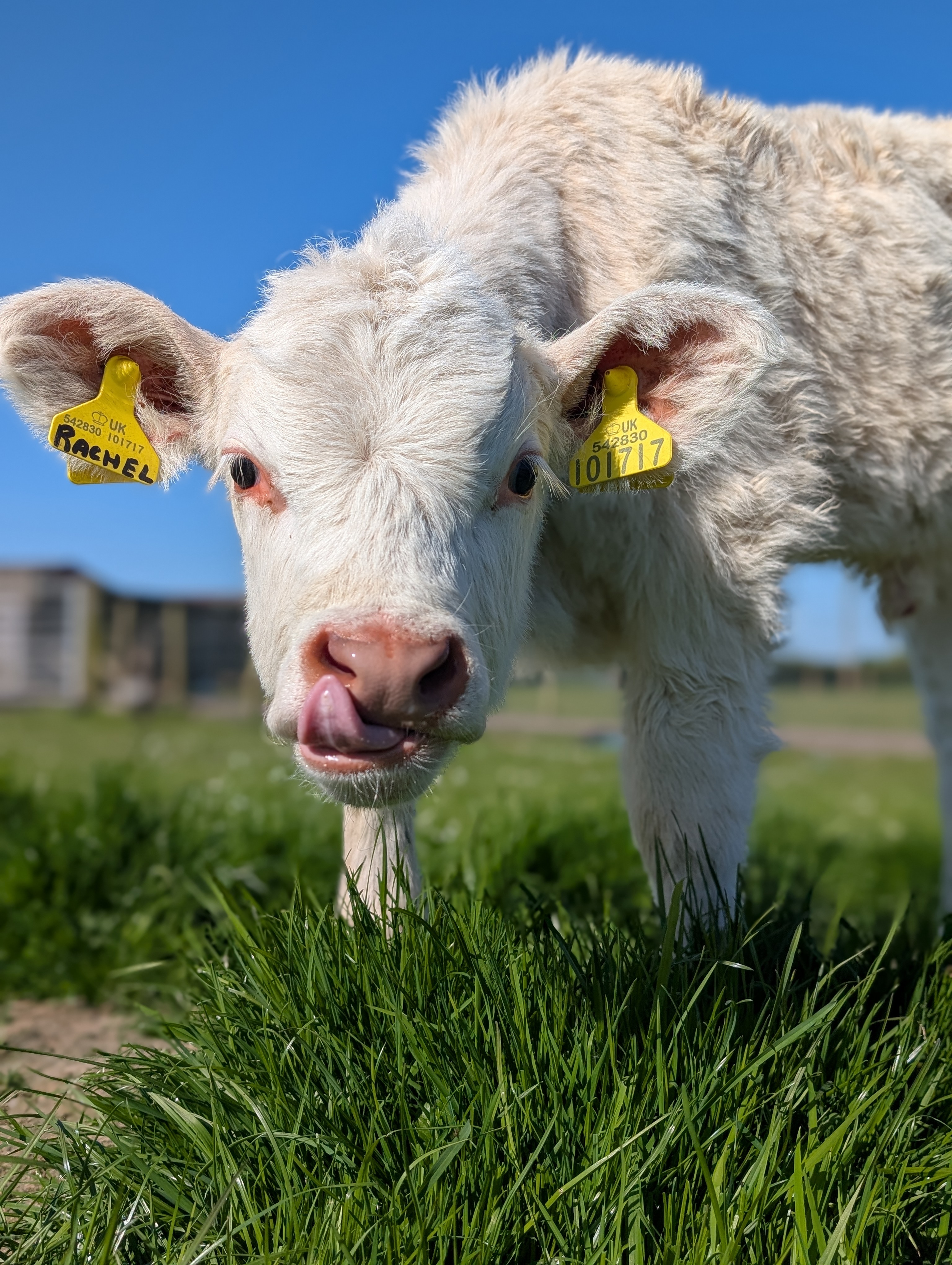 Briarlands Farm Park