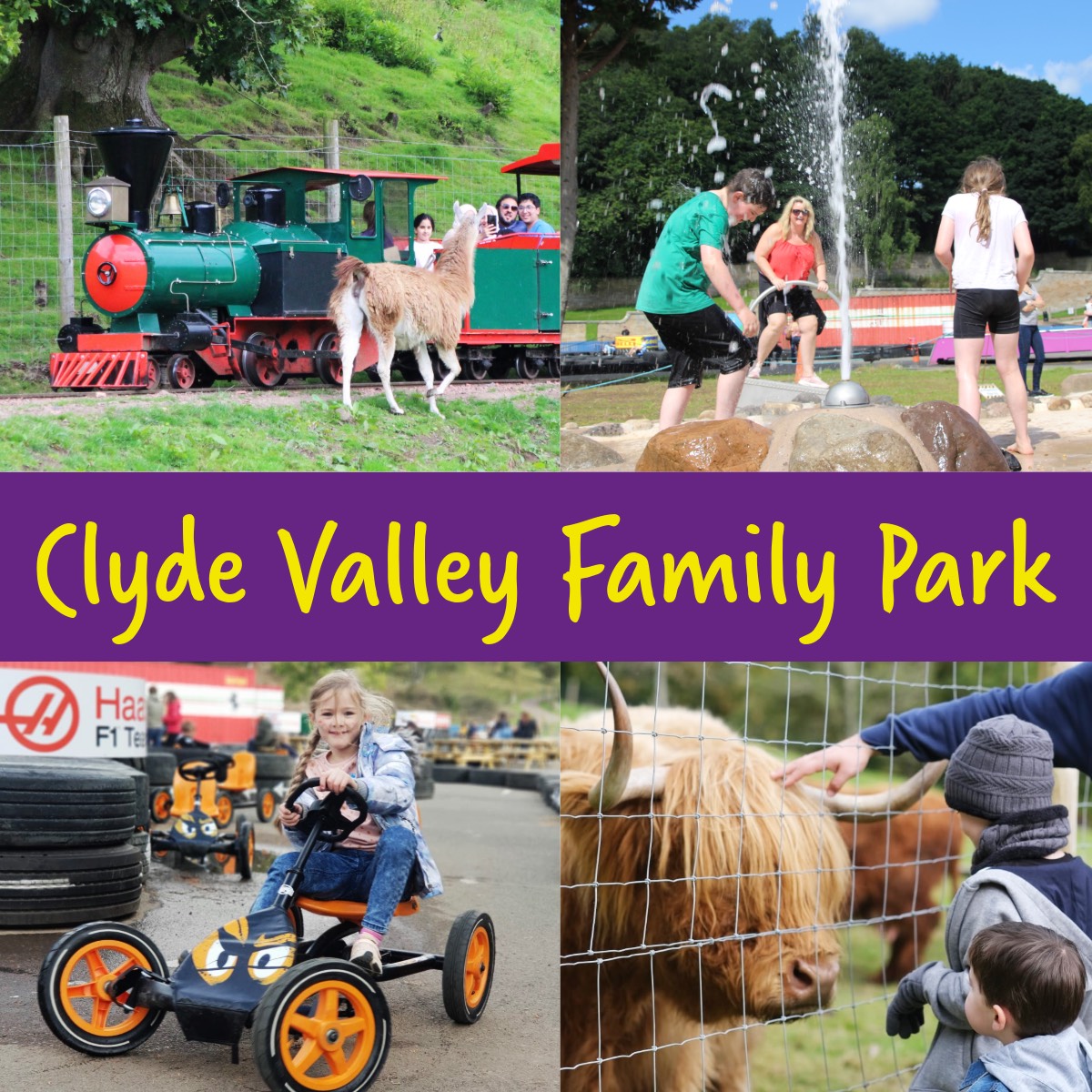 Clyde Valley Family Park