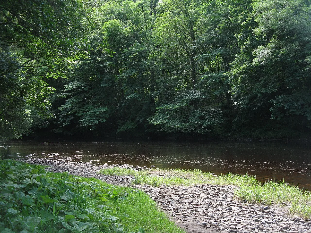 The Avon Water running through woodland at Chatelherault Country Park.