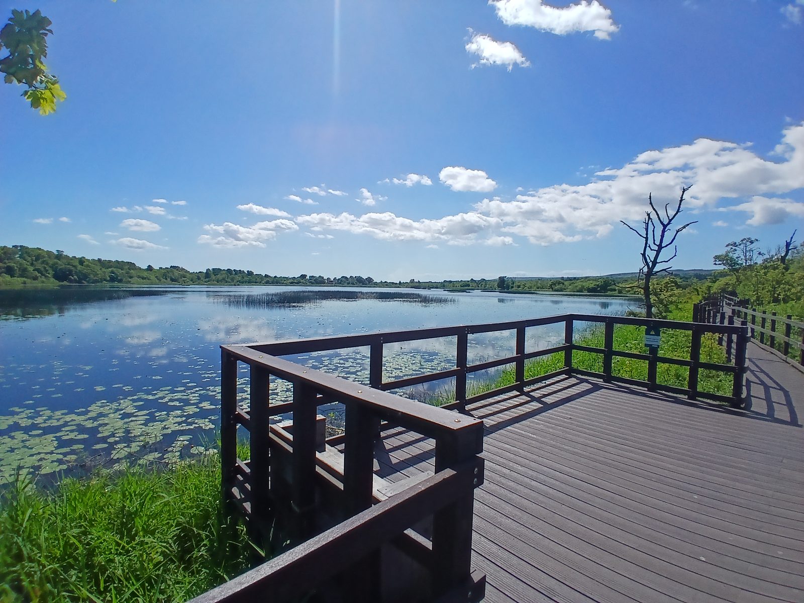 RSPB Lochwinnoch
